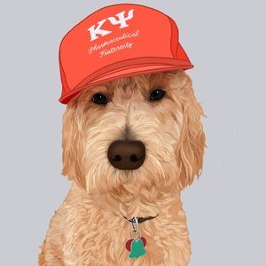 Meet your Posher, Dan